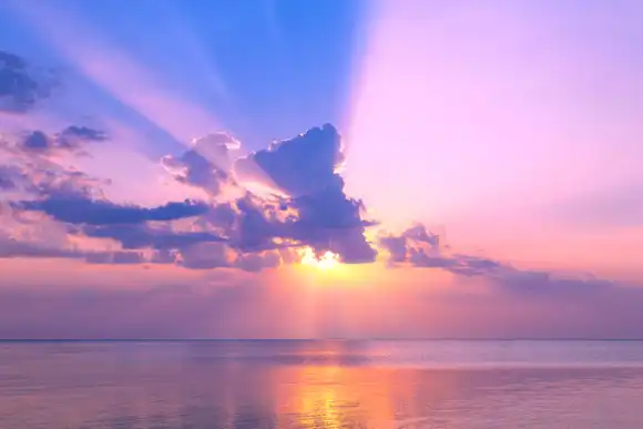 Hope and Gratitude Attraction