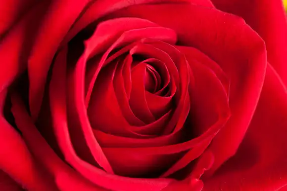 Oneness with Spirit Your Heart Opening to Divine Love